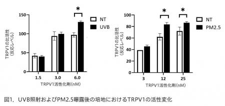 マンダム、特定のカミツレエキスにTRPV1抑制効果があ マンダム、特定のカミツレエキスにTRPV1抑制効果があ