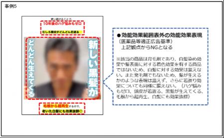 過去に実施した定期調査で、弊社が薬機法および景品表 過去に実施した定期調査で、弊社が薬機法および景品表