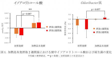 加工した昆布の摂取により健康長寿に関わる胆汁酸の産 加工した昆布の摂取により健康長寿に関わる胆汁酸の産