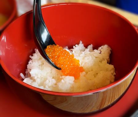 ニジマスの採卵と生しぼりイクラ丼を味わう、親utf-8 ニジマスの採卵と生しぼりイクラ丼を味わう、親utf-8