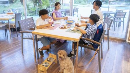 下田プリンスホテル 外来利用者向け、3ヵ月有効のお 下田プリンスホテル 外来利用者向け、3ヵ月有効のお