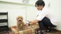 下田プリンスホテル 外来利用者向け、3ヵ月有効のお 下田プリンスホテル 外来利用者向け、3ヵ月有効のお