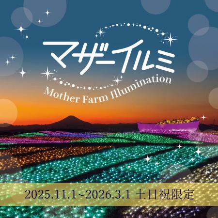 【標高約300m】マザー牧場から望む東京湾の景色とイ 【標高約300m】マザー牧場から望む東京湾の景色とイ