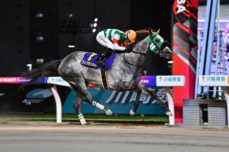 ~ブリーダーズカップフィリー&メアスプリント出走へ ~ブリーダーズカップフィリー&メアスプリント出走へ