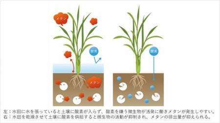 間断灌漑技術を活用したJCMクレジットの普及拡大を目 間断灌漑技術を活用したJCMクレジットの普及拡大を目