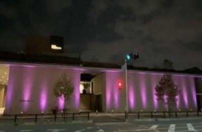 児童虐待・DV防止キャンペーン 児童虐待・DV防止キャンペーン