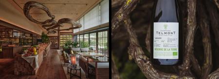 「パティーナ大阪 × テルモン Sustainable Champagne 「パティーナ大阪 × テルモン Sustainable Champagne