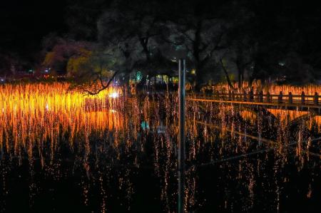 ハマン落火ノリに日本から約1,000人が参加 韓国観光 ハマン落火ノリに日本から約1,000人が参加 韓国観光