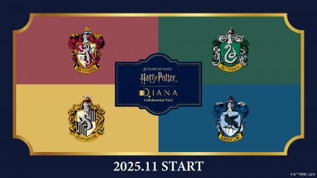 「Harry Potter × DIANA Collaboration Vol.2」ハリー 「Harry Potter × DIANA Collaboration Vol.2」ハリー