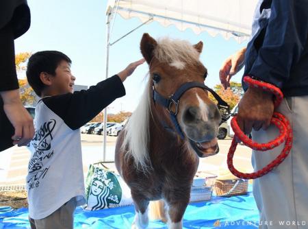 “ありがとう”からはじまる、人と動物の未来へ 和歌山 “ありがとう”からはじまる、人と動物の未来へ 和歌山