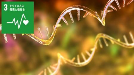 Staple核酸を用いた新規核酸医薬技術 「RNAハッキング Staple核酸を用いた新規核酸医薬技術 「RNAハッキング