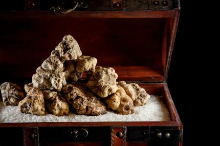 【西麻布 焼肉X~TEN~】伊ピエモンテ州の希少な白ト 【西麻布 焼肉X~TEN~】伊ピエモンテ州の希少な白ト