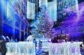 【白銀世界のクリスマス】本物のモミの木を使用した高 【白銀世界のクリスマス】本物のモミの木を使用した高