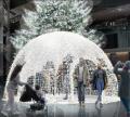 【白銀世界のクリスマス】本物のモミの木を使用した高 【白銀世界のクリスマス】本物のモミの木を使用した高