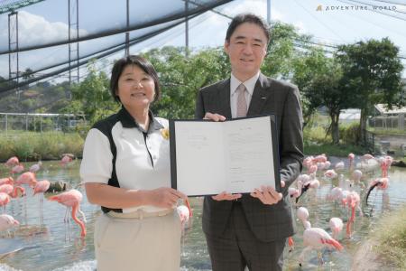 サントリーホールディングス株式会社と株式会社アワー サントリーホールディングス株式会社と株式会社アワー