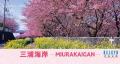 日本・台湾相互の観光誘客を目的としたラッピンutf-8 日本・台湾相互の観光誘客を目的としたラッピンutf-8
