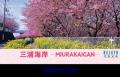 日本・台湾相互の観光誘客を目的としたラッピンutf-8 日本・台湾相互の観光誘客を目的としたラッピンutf-8