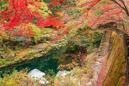 秋に行きたい岡山県の旅「温泉×紅葉スポット」。西日 秋に行きたい岡山県の旅「温泉×紅葉スポット」。西日