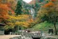 秋に行きたい岡山県の旅「温泉×紅葉スポット」。西日 秋に行きたい岡山県の旅「温泉×紅葉スポット」。西日