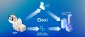 DID/VCプラットフォーム「Elexi(エレクシ)」正式提 DID/VCプラットフォーム「Elexi(エレクシ)」正式提