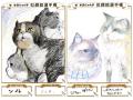 推し猫のにがおえコンテスト開催決定!猫カフェで芸術 推し猫のにがおえコンテスト開催決定!猫カフェで芸術