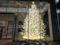 【玉川高島屋S.C.】クリスマス・イルミネーショutf-8 【玉川高島屋S.C.】クリスマス・イルミネーショutf-8