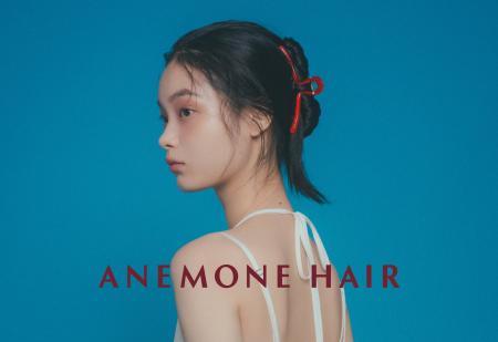 ヘアアクセサリー専門ブランド『ANEMONE HAIR』オンラ ヘアアクセサリー専門ブランド『ANEMONE HAIR』オンラ