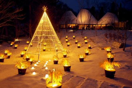 【リゾナーレ那須】稲穂をテーマにした黄金色のイルミ 【リゾナーレ那須】稲穂をテーマにした黄金色のイルミ