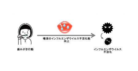 世界初(※1)、歯みがき行動で唾液のインフルエンザウイ 世界初(※1)、歯みがき行動で唾液のインフルエンザウイ