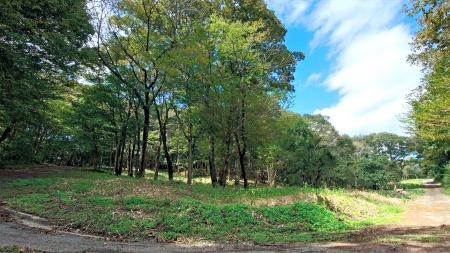 栃木県那須町にフォレンタ新エリアオープン 鉄道が見 栃木県那須町にフォレンタ新エリアオープン 鉄道が見