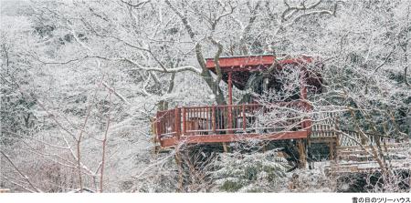 ROKKO森の音ミュージアムSIKIガーデンWinter Seautf-8 ROKKO森の音ミュージアムSIKIガーデンWinter Seautf-8