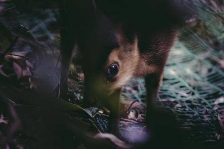 CHARLES & KEITH 渋谷店がアート空間に 現代アーティ CHARLES & KEITH 渋谷店がアート空間に 現代アーティ