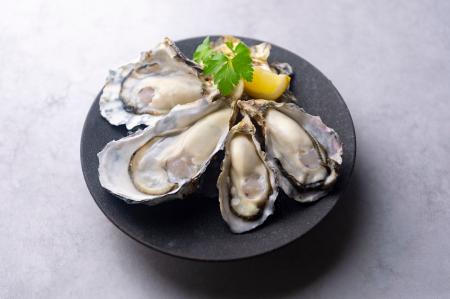 日本最大級のオイスターバーチェーンのゼネラル・オイ 日本最大級のオイスターバーチェーンのゼネラル・オイ