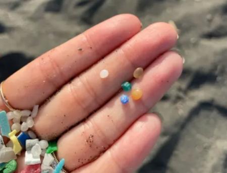 茅ヶ崎発 “マイクロプラスチック問題”をもっと身近に 茅ヶ崎発 “マイクロプラスチック問題”をもっと身近に