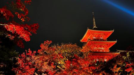 【期間限定】秋の夜の京都を着物で満喫!「翌日返却無 【期間限定】秋の夜の京都を着物で満喫!「翌日返却無