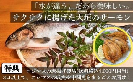 『養殖で拓く持続可能な未来 応援ファンド』募集開始 『養殖で拓く持続可能な未来 応援ファンド』募集開始