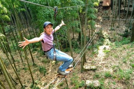 「フォレストアドベンチャー・おおひら」が「フォレス 「フォレストアドベンチャー・おおひら」が「フォレス