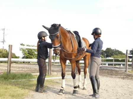 馬と人と生産農家をつなぐ新サービス誕生! 馬と人と生産農家をつなぐ新サービス誕生!