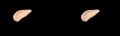 毛穴をきれいにカバーし、さらふわセミマット肌つづく 毛穴をきれいにカバーし、さらふわセミマット肌つづく