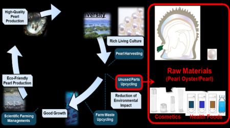 ゼロエミッション型真珠養殖から生まれた多機能原料「 ゼロエミッション型真珠養殖から生まれた多機能原料「