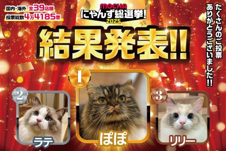 全国&海外代表のにゃんずによる頂上決戦がついに決着 全国&海外代表のにゃんずによる頂上決戦がついに決着