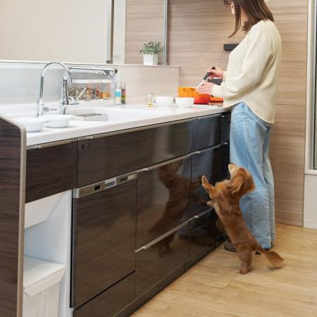 国内最大級のペット総合イベント「Pet博2025 大阪」に 国内最大級のペット総合イベント「Pet博2025 大阪」に