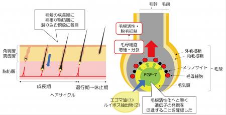 【日華化学】スカルプケア技術が「日本弁理士会会長賞 【日華化学】スカルプケア技術が「日本弁理士会会長賞