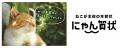もうすぐ干支一周!猫が主役の年賀状「にゃん賀状」× もうすぐ干支一周!猫が主役の年賀状「にゃん賀状」×