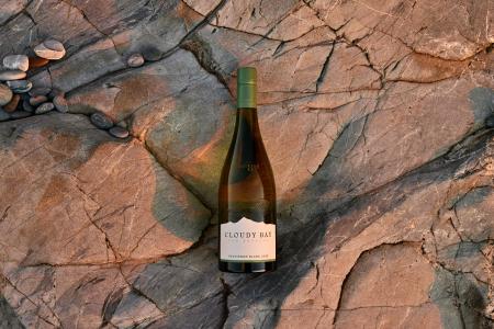 2025年に創立40周年を迎えたニュージーランド ワイン 2025年に創立40周年を迎えたニュージーランド ワイン