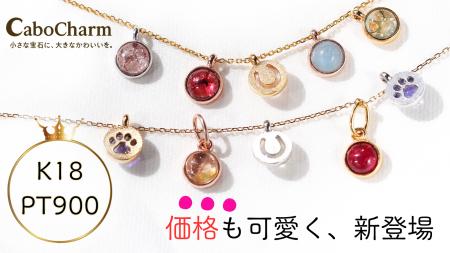 【価格革命】K18・Pt900の本格ジュエリーが9,800円か 【価格革命】K18・Pt900の本格ジュエリーが9,800円か