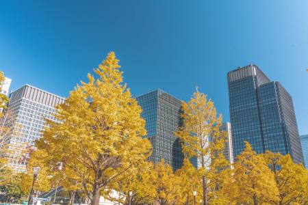 2025年10月版のデータ整備を行いました。 2025年10月版のデータ整備を行いました。