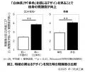 立体感や多色を感じるデザインが“五感で感じる魅力印 立体感や多色を感じるデザインが“五感で感じる魅力印
