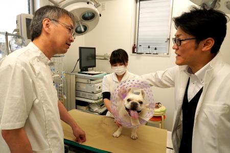 【ペットのオンライン初診解禁】 【ペットのオンライン初診解禁】