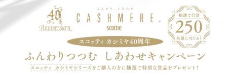 スコッティ カシミヤ40周年記念 ふんわりつつむ し スコッティ カシミヤ40周年記念 ふんわりつつむ し